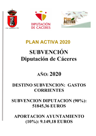 Imagen SUBVENCION DIPUTACION PLAN ACTIVA 2020